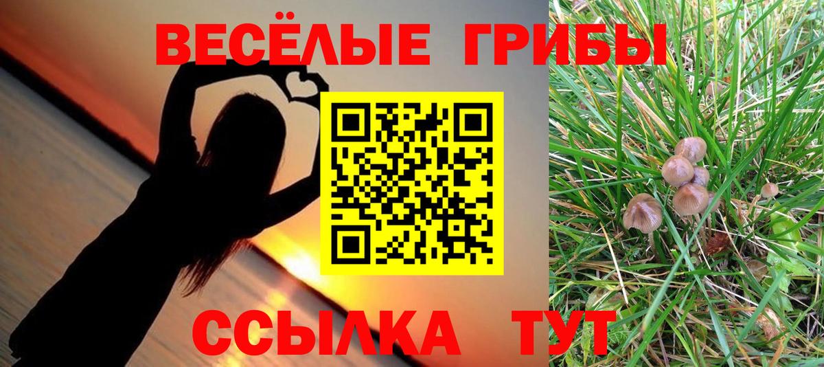 Зеленогорск  Галлюциногенные грибы мицелий  где купить   Вход с VPN 